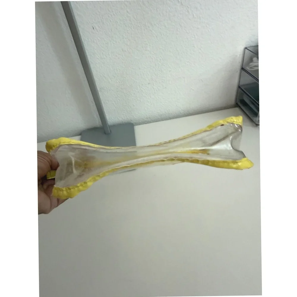 Little Beauty Bag Clear Vinyl Makeup Pouch Yellow Trim Zipper Travel Organizer‎